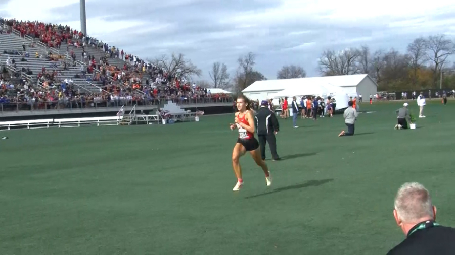Several Area Runners shine at State Cross country